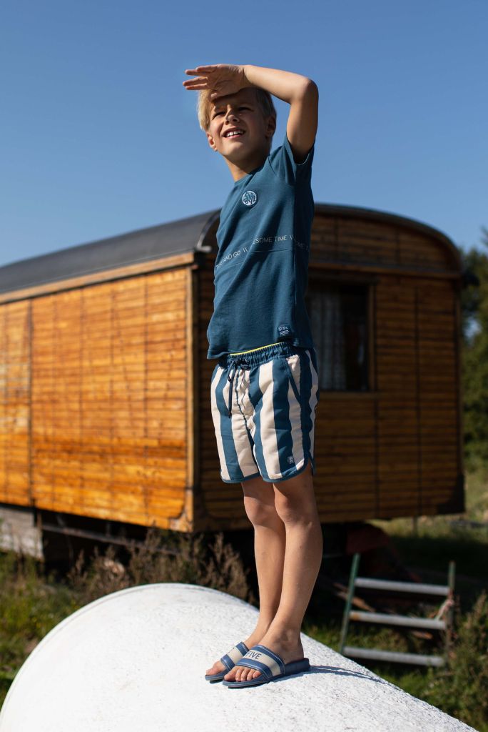 Quapi Boys Fern Blue T-Shirt | Boys Designer Tees