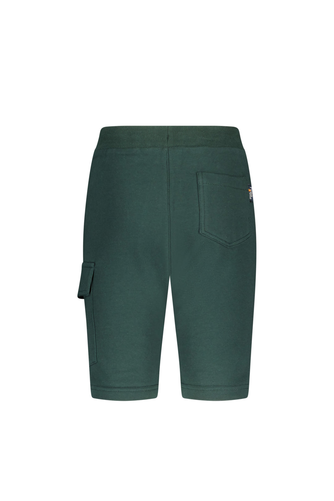 Back view of the green sweat shorts on a white background