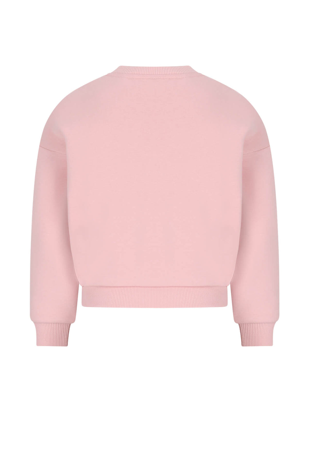 A light pink crewneck sweatshirt shown from the back, featuring a relaxed fit with ribbed cuffs and hem, displayed on a solid white background.