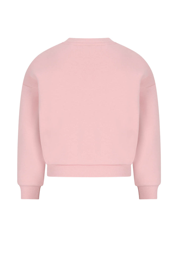 A light pink crewneck sweatshirt shown from the back, featuring a relaxed fit with ribbed cuffs and hem, displayed on a solid white background.