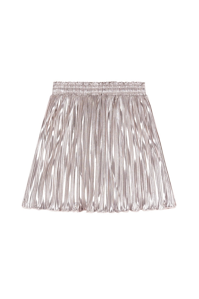 Norah Pleated Skirt Silver | Back View