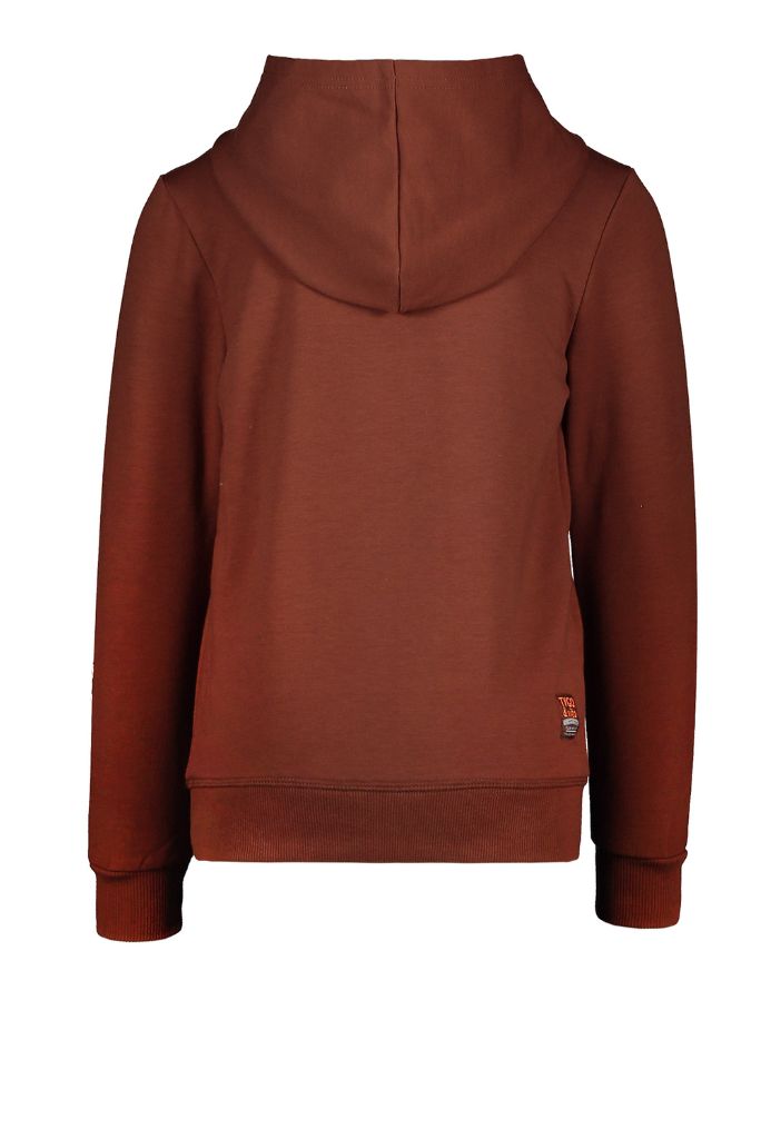 Boys Fleece Logo Hoodie - Brown