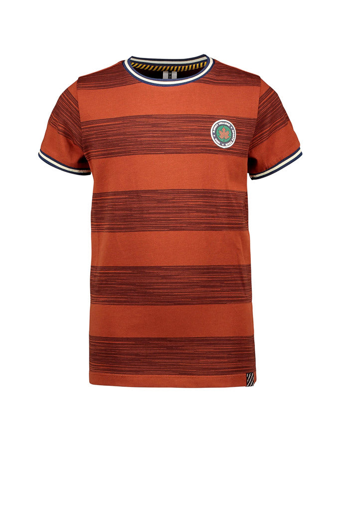 Boys Brown Stripe T-Shirt