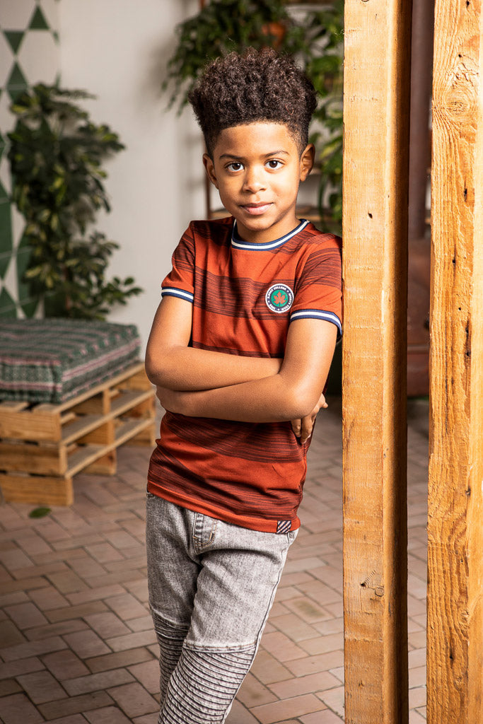 Boys Brown Stripe T-Shirt