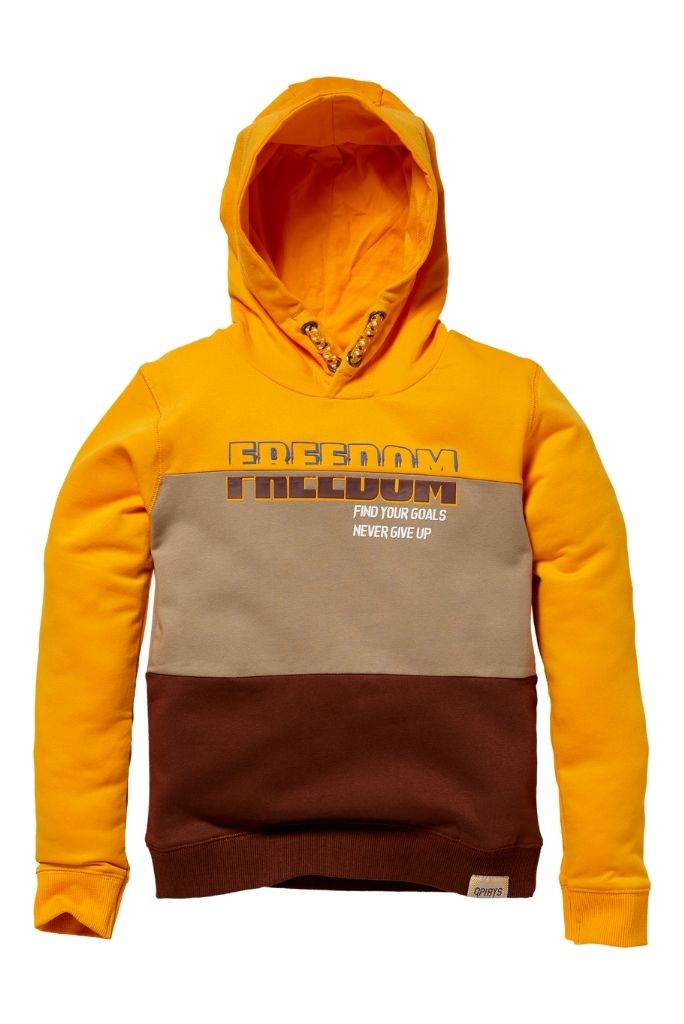 boys orange hoodie