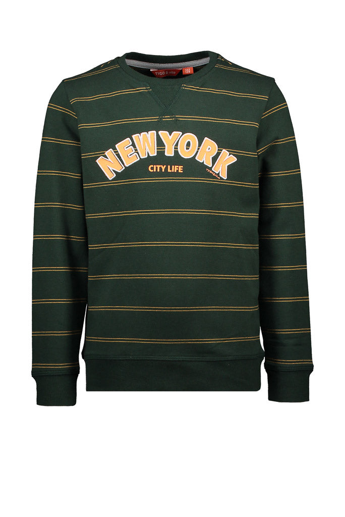 Boys Green Stripe Sweater