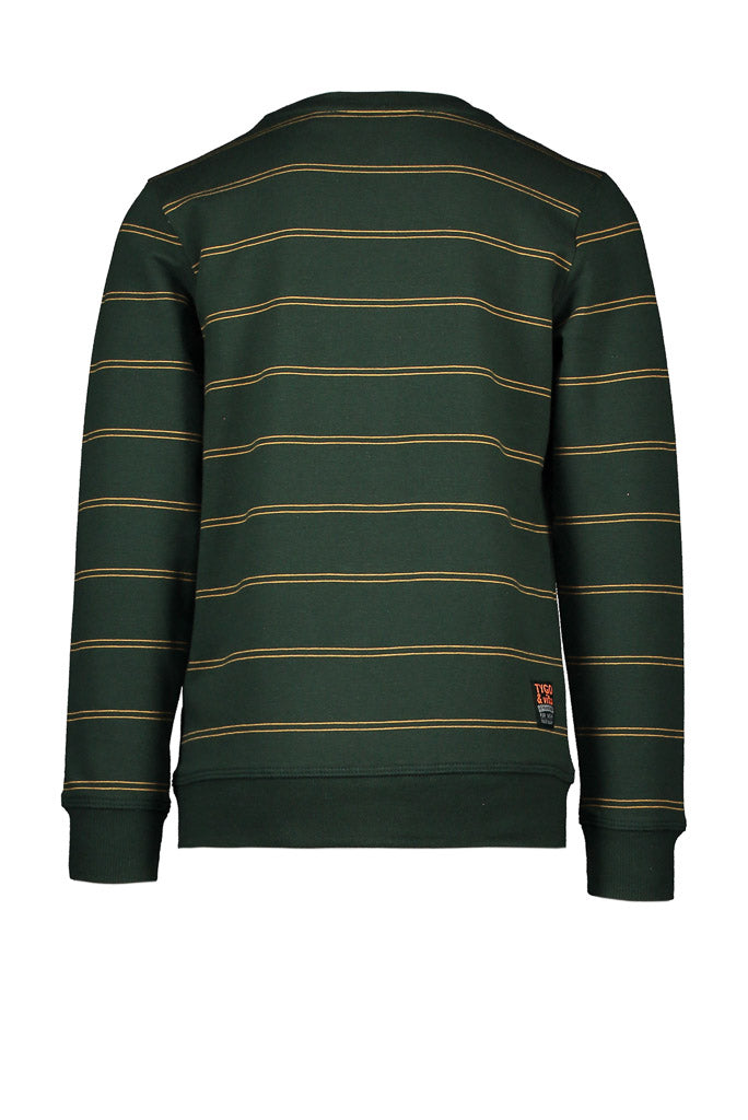 Boys Green Stripe Sweater